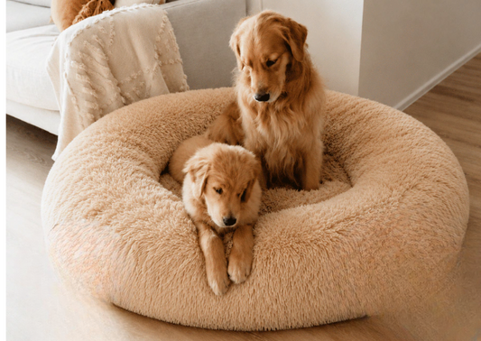 Cama Anti-Ansiedad Donut para Mascotas