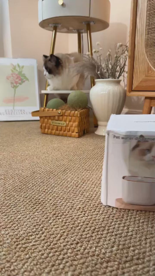 🐾 Fuente de Agua Automática 3L para Mascotas – Hidratación sin esfuerzo, todo el día