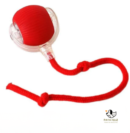 Pelota Interactiva Gatos
